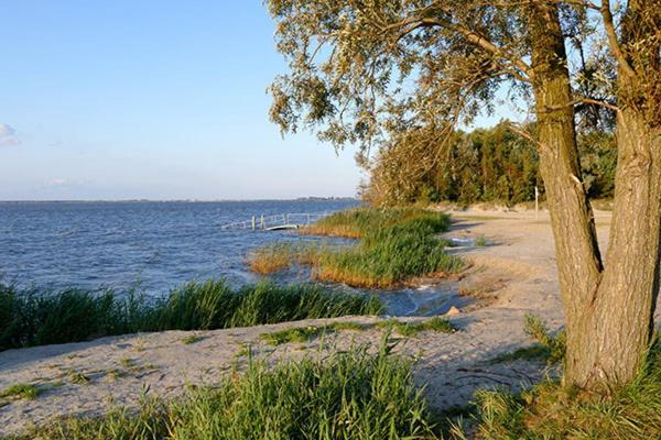 Вілла Huus Am Darss Fuhlendorf  Екстер'єр фото